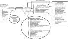 Figure 1. Analytic framework
This figure is the analytic framework and depicts the Key Questions and outcomes to evaluate the diagnosis, treatment, and monitoring strategies for ADHD.