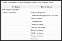 Table 1. Mechanisms for constitutive NF-κB activation in human cancer.