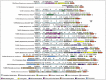 Figure 2.. The structure of various members of the Tn916/Tn1545 family is shown.