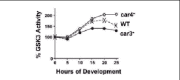 Figure 2. CAR3 and CAR4 antagonistically regulate GSK3 activity.