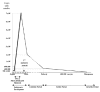 Figure 1. Schematic representation of female gametogenesis.