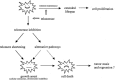 Figure 1. Effects of telomerase inhibition on human tumor cell growth.