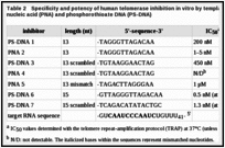 Table 2. Specificity and potency of human telomerase inhibition in vitro by template-targeting peptide nucleic acid (PNA) and phosphorothioate DNA (PS-DNA).