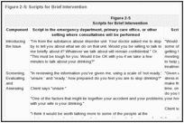 Figure 2-5: Scripts for Brief Intervention.