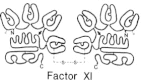 Figure 1. Structure of factor XI.