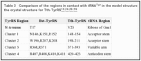 Table 3. Comparison of the regions in contact with tRNATyr in the model structure for Bst-TyrRs and in the crystal structure for Tth-TyrRS,,,.