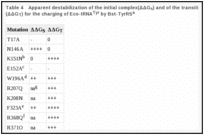 Table 4. Apparent destabilization of the initial complex(ΔΔGs) and of the transition state complex (ΔΔGT) for the charging of Eco-tRNATyr by Bst-TyrRSa.