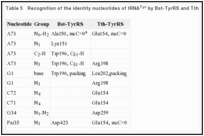 Table 5. Recognition of the identity nucleotides of tRNATyr by Bst-TyrRS and Tth-TyrRS,,.