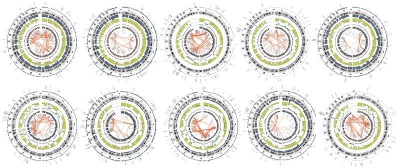 Diagrams of osteosarcoma cases from the NCI TARGET project.