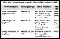 Table 2. Major Histopathological Categories of Non-Hodgkin Lymphoma in Children and Adolescentsa.