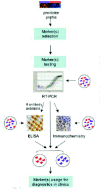 Figure 2. Discovering and testing diagnostic markers.