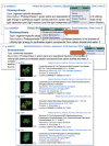 Figure 4. The Links menus from BioSystems records.