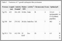 Table 1.. Features of T. gondii cathepsin-like proteases.