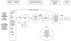 Figure two is a flow diagram illustrating the clinical path for patients with the potential to develop Clostridium difficile-associated disease (CDAD), from diagnostic laboratory tests, through their impact on treatment decisions, to finally implications for prevention strategies. It also locates the key questions of the review within the context of the framework. Diagnostic testing has two parts, the technical efficacy of the tests and diagnostic accuracy. After diagnostic accuracy, and treatment, and patient outcome efficacy, is prevention, a societal level efficacy measure, as the benefits of prevention of infectious disease can extend beyond the individual patient.