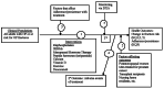 Figure 1 is an analytic framework that shows the inter-relationships of study-level factors and outcomes addressed by the key questions. The population of interest is all adults with osteoporosis or who are at risk for osteoporosis, with the exception of those with cancer and those with other diseases of the bone. Key question 1 addresses the effectiveness of drugs, dietary supplements (vitamin D and calcium), and exercise in preventing fractures. Key question 2 addresses factors that might affect the effectiveness of the treatments addressed in key question 1 (effects of the agents in subpopulations) in terms of fracture risk. Key question 3 addresses the specific effect of adherence to and persistence with medication on the effects of these medications as well as factors that affect adherence and persistence. Key question 4 addresses adverse events associated with treatment. Key question 5 addresses the effects of monitoring and treatment duration on treatment efficacy