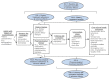 Figure 1. Analytic framework. This figure depicts the conceptual model around which this project is framed, showing the logical linkage between the patient population of past kidney stone formers, dietary and pharmacological interventions aimed to prevent recurrent stone episodes, and intermediate and final health outcomes of interest.