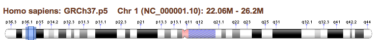 Chromosome overview and navigation