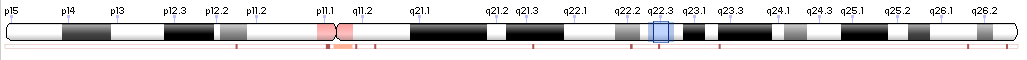 Chromosome Overview