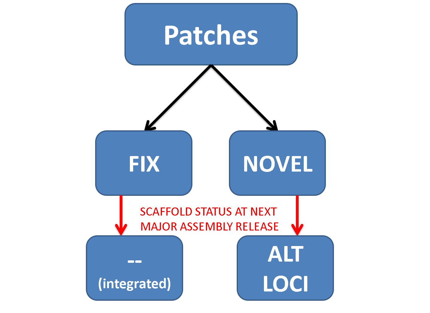 Patch Type and Data Flow