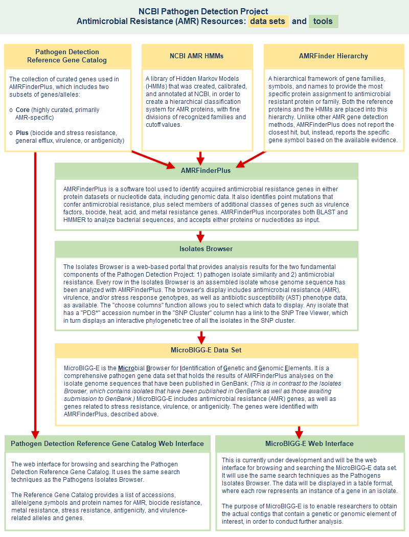 Schematic illustration showing the antimicrobial resistance (AMR) resources in the NCBI Pathogen Detection project.