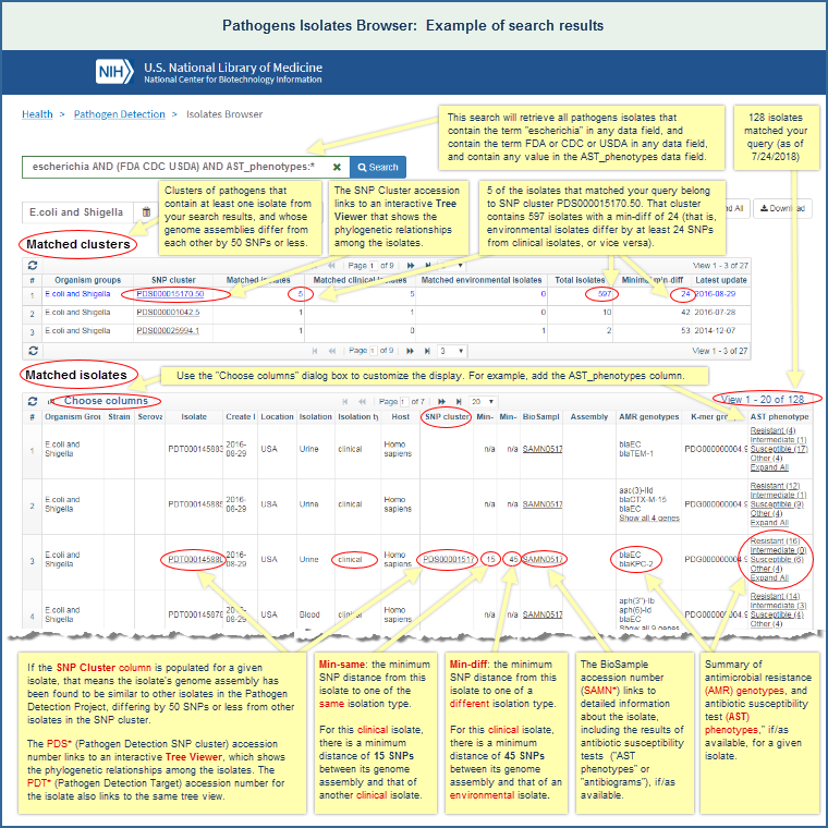 Illustrated example of Pathogens Isolates Browser display, showing the results of a search for isolates that contain the terms escherichia, and FDA or CDC or USDA, and that have any value in the AST_phenotypes data field. The image shows the results as of July 24, 2018. Click on the image to open the current, live results for the search.