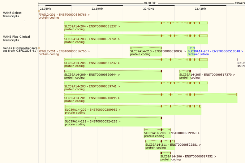 MANE track hub Ensembl