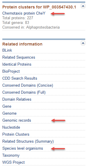 Image of Related Information panel displayed for WP_003547430.1 GenPept View, with arrow highlights of links to Protein Clusters, Genomic records, and Species level organisms.