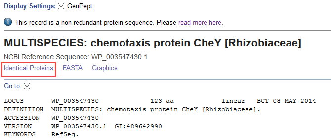 Image illustrating link to the Identical protein report.