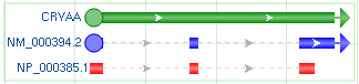 Circle for feature start, arrow for feature stop, dash lines for introns