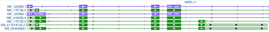 Merge transcript and CDS pairs, no gene bar