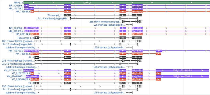 With other features projected from mRNA and CDS products