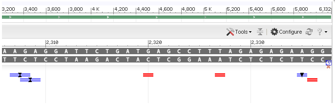 SNP insertion and deletion visual example