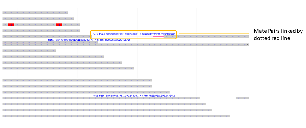 Sequence mate pairs 7.3.6