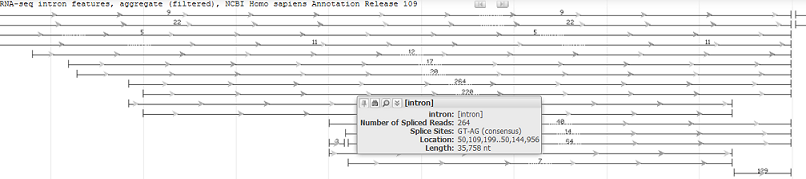 intron_features