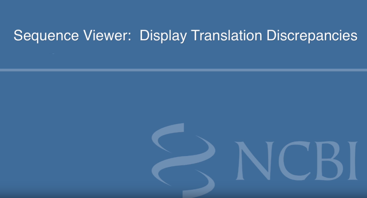  Display Translation discrepancies