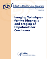 Cover of Imaging Techniques for the Diagnosis and Staging of Hepatocellular Carcinoma