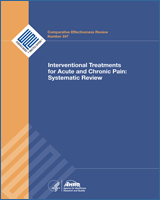 Cover of Interventional Treatments for Acute and Chronic Pain: Systematic Review