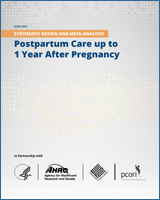 Cover of Postpartum Care up to 1 Year After Pregnancy: A Systematic Review and Meta-Analysis