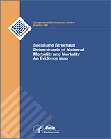 Cover of Social and Structural Determinants of Maternal Morbidity and Mortality: An Evidence Map