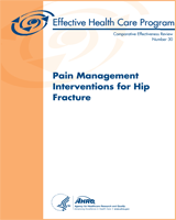 Cover of Pain Management Interventions for Hip Fracture