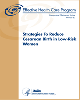 Cover of Strategies to Reduce Cesarean Birth in Low-Risk Women