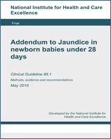 Cover of Addendum to Jaundice in newborn babies under 28 days