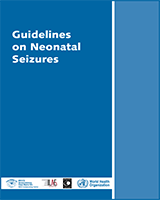 Cover of Guidelines on Neonatal Seizures