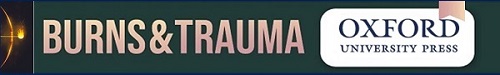 Logo of burnstraum