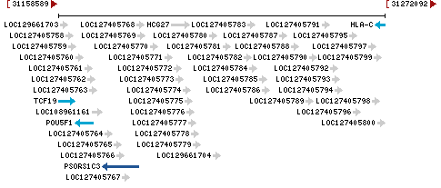 Genomic Context describing neighboring genes