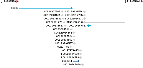 Genomic Context describing neighboring genes