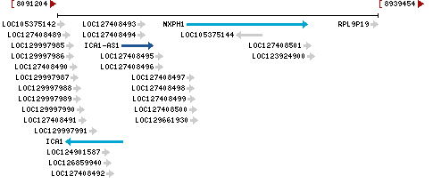 Genomic Context describing neighboring genes