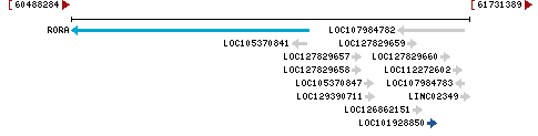 Genomic Context describing neighboring genes