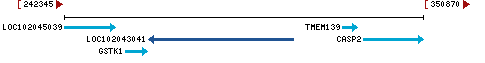 Genomic Context describing neighboring genes