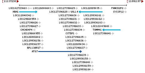 Genomic Context describing neighboring genes